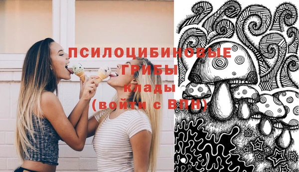 спайс Алексеевка