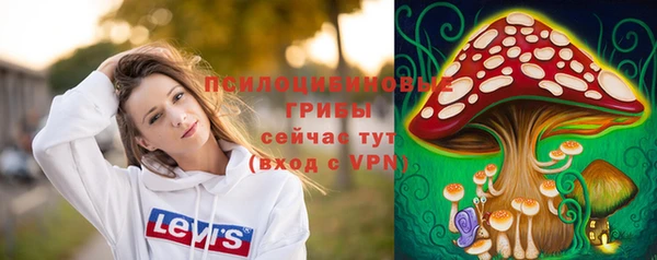 спайс Алексеевка