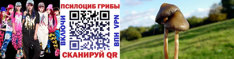 где можно купить наркотик Южно-Сахалинск Галлюциногенные грибы GOLDEN TEACHER