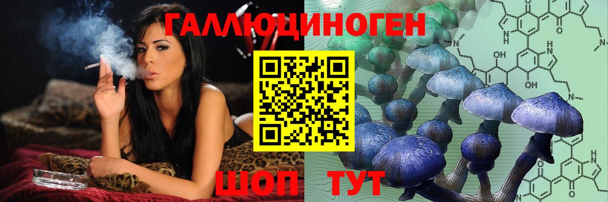 Псилоцибиновые грибы мицелий Южно-Сахалинск
